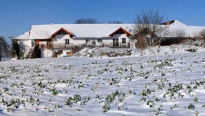 A snow-covered landscape with a house featuring a balcony and a view of the countryside. - Geinberg Suites & Vianova Lodges (Polling im Innkreis)