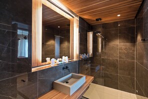 Executive Room, Lake View | Bathroom | Shower, rainfall showerhead, free toiletries, hair dryer - La Palma au Lac (Muralto)