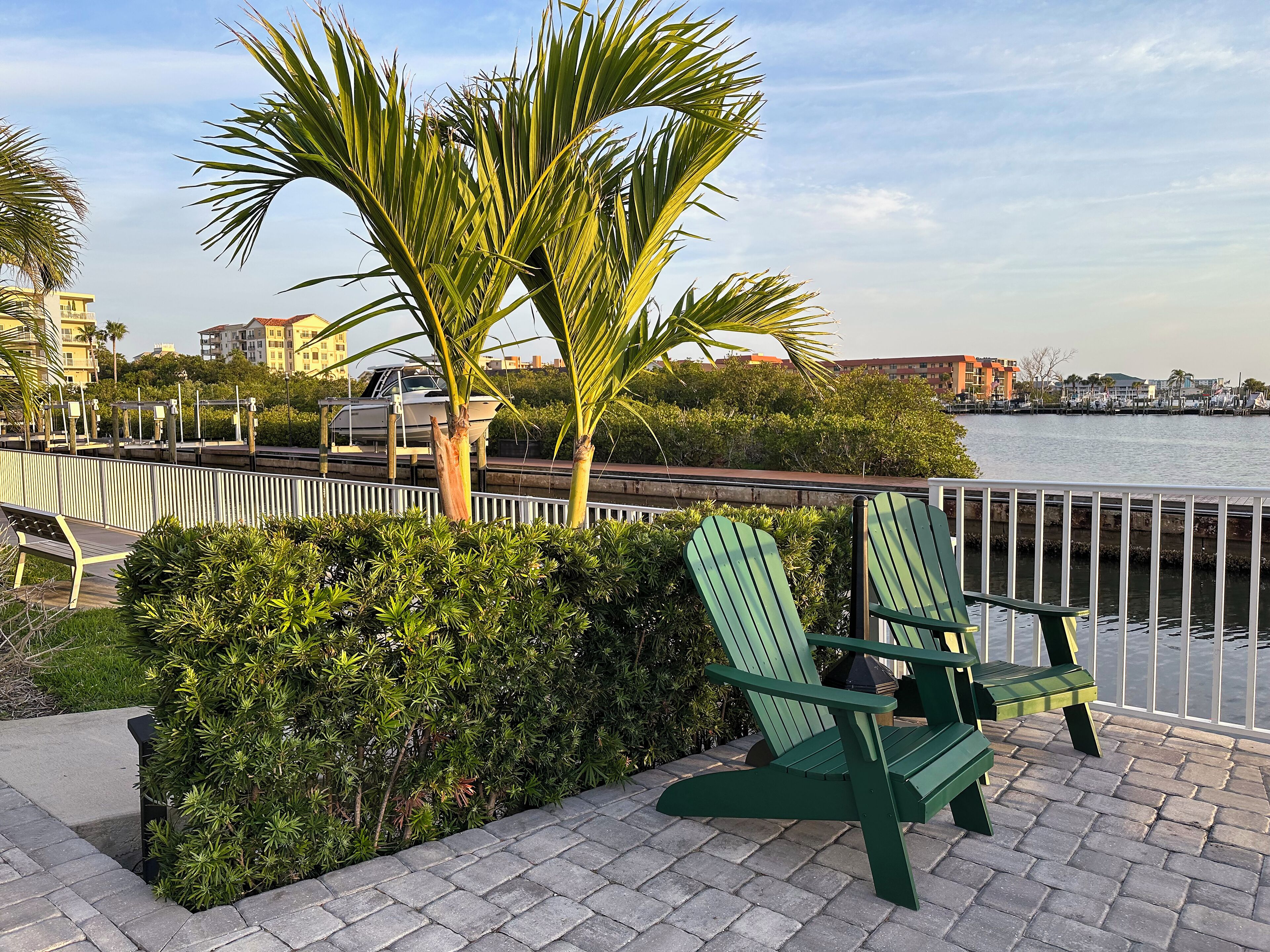 A waterfront promenade with green chairs, a palm tree, and a view of the water and buildings in the background.