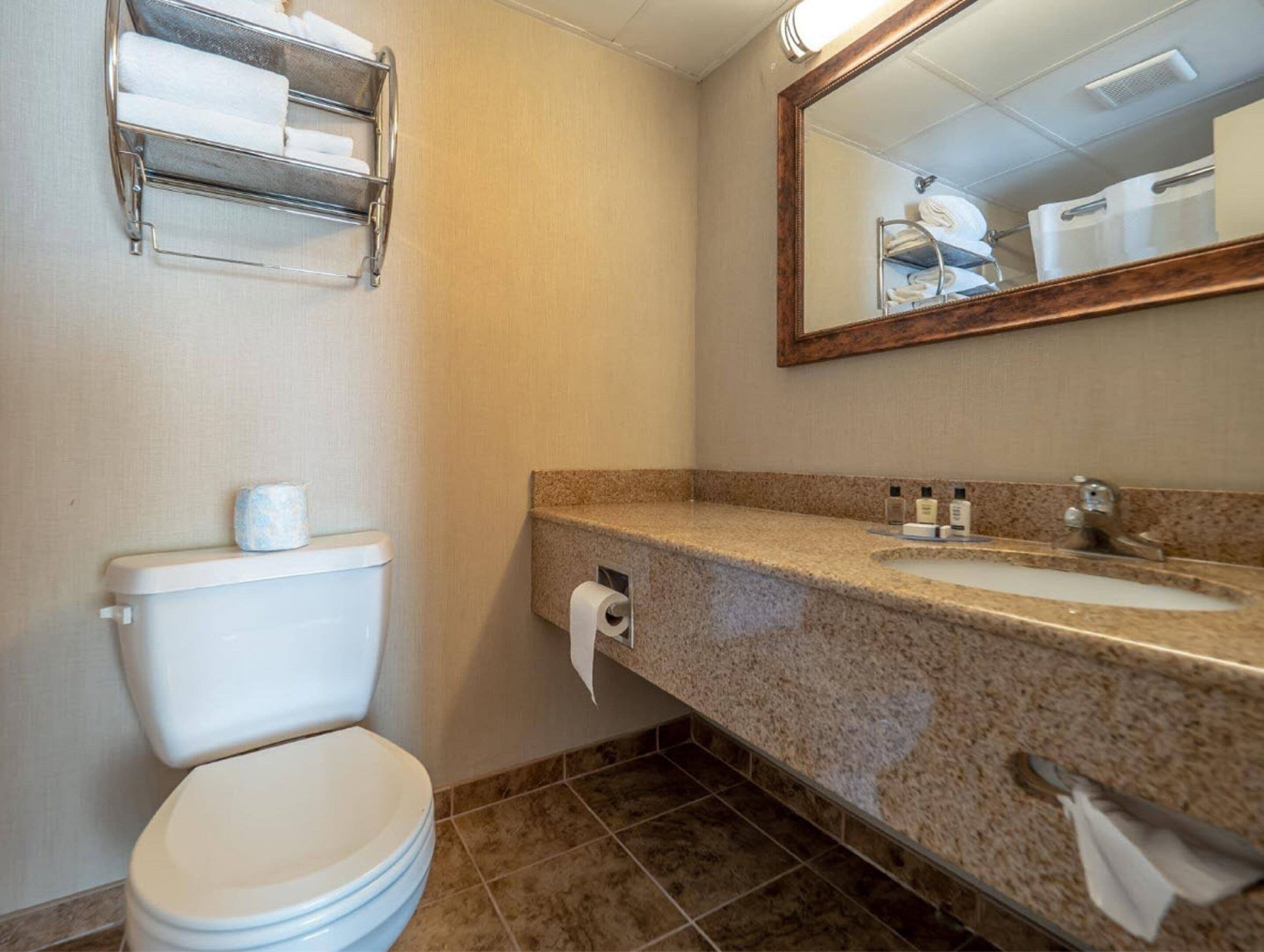 Un bany amb vàter, un lavabo amb taulell de granat i un penjador de tovalloles.
