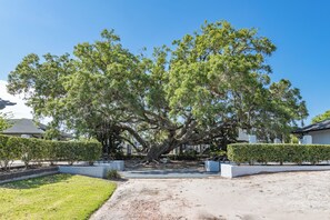 Overnatningsstedets område