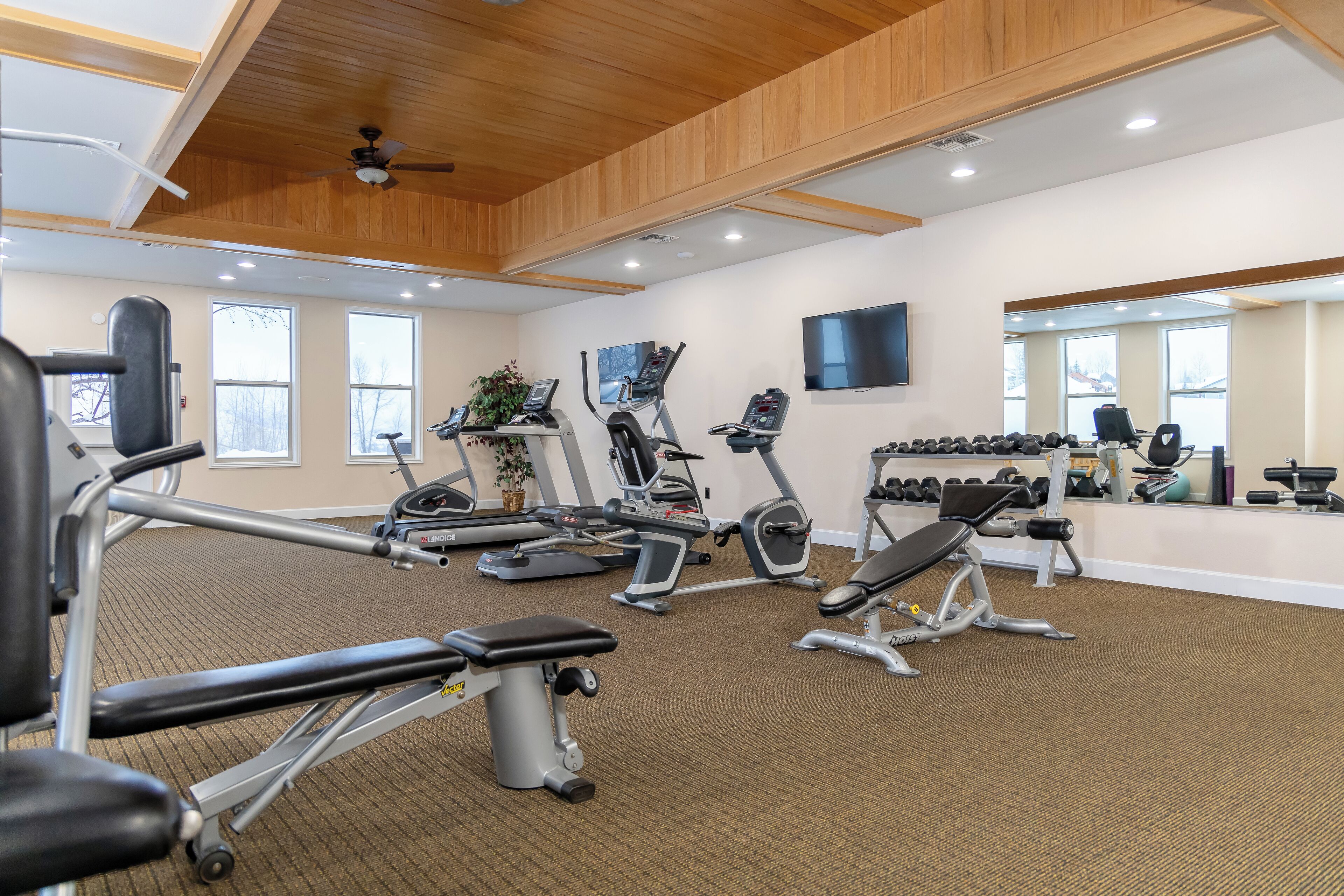 A gym with exercise equipment, large windows, and a ceiling fan.