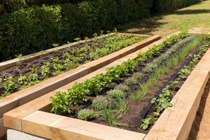 Garden - Marsenses Paradise Club Hotel (Ciutadella de Menorca)