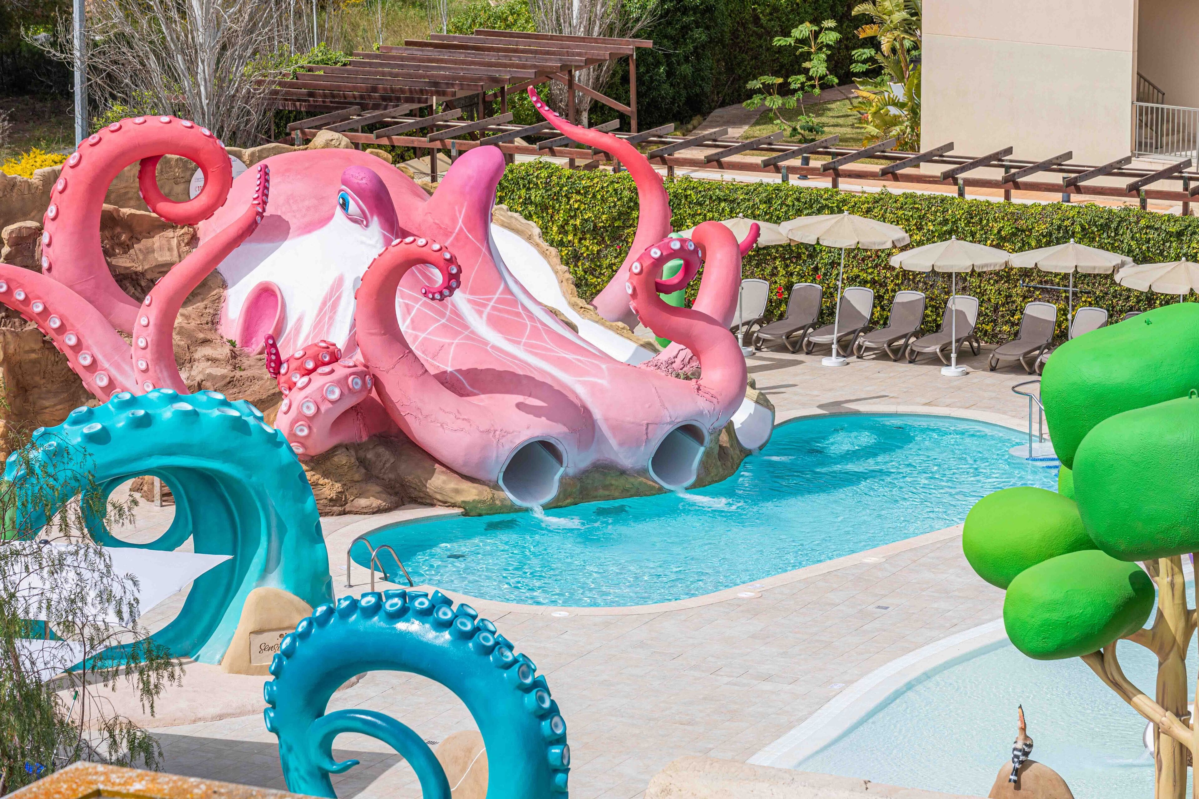 Photo - MarSenses Rosa del Mar Hotel & Spa