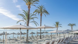 A beachside area with rows of sun loungers under umbrellas, palm trees, and a clear view of the sea. - Hotel Condesa Mallorca (Alcúdia)