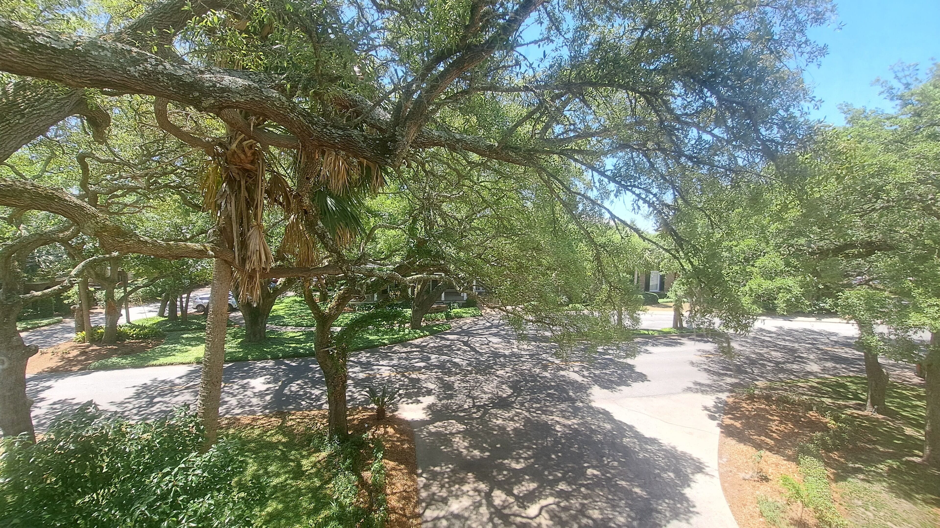 king room 200 | premium bedding, individually decorated, individually furnished