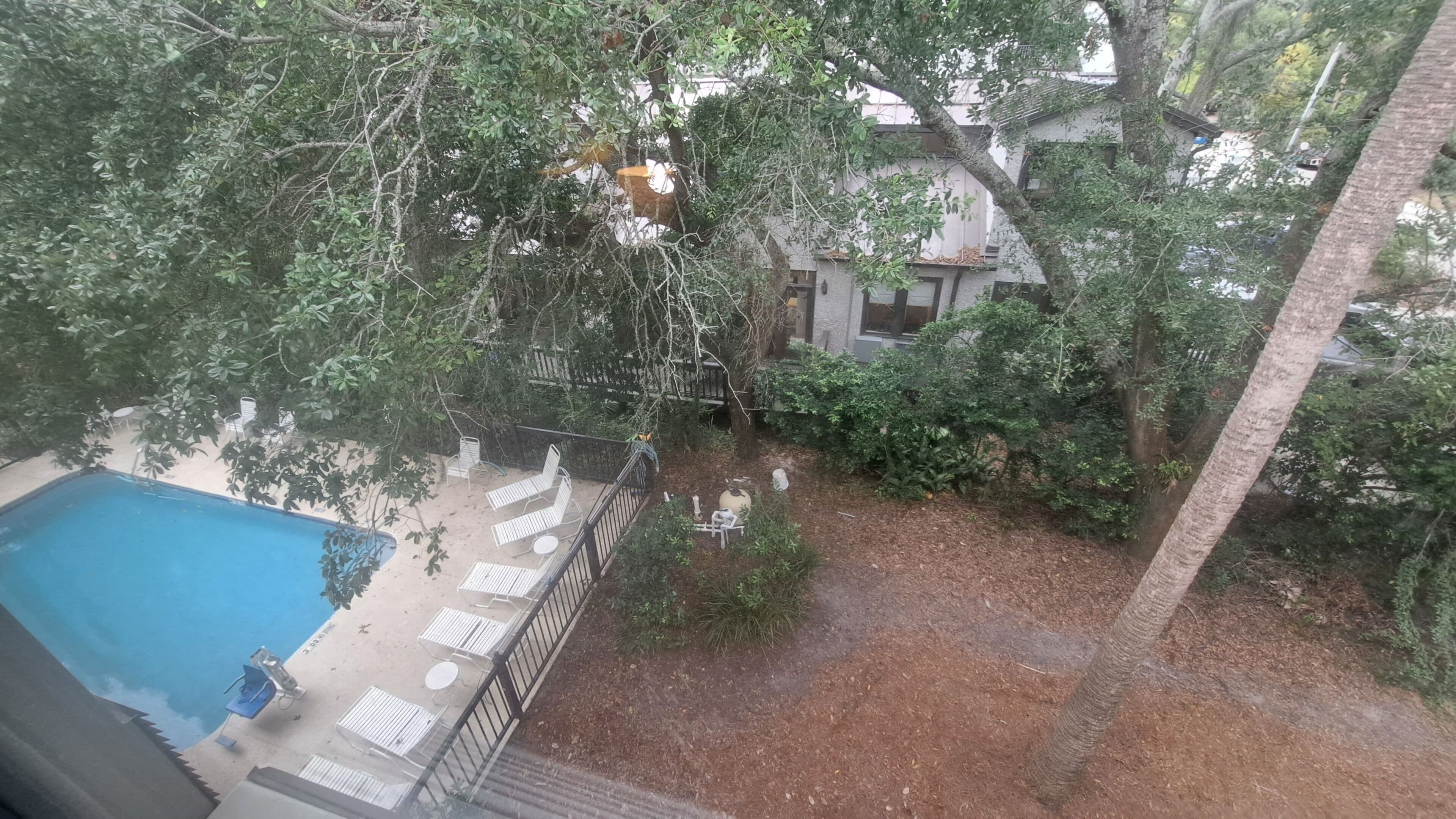 Zona de piscina amb gandules i taula petita, envoltada per vegetació abundant i arbres.