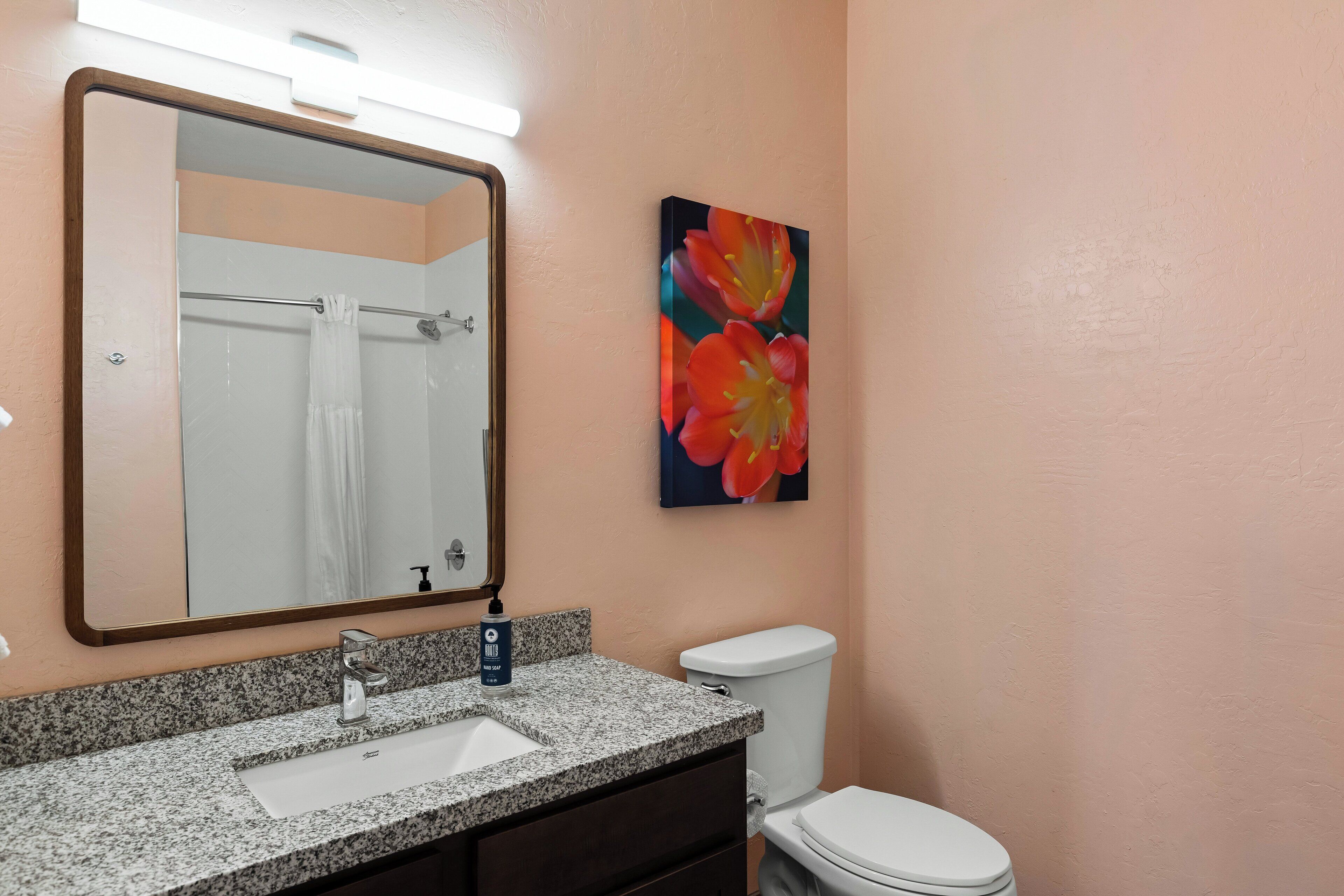 Un baño con encimera de granito, lavabo, espejo, inodoro y una obra de arte floral en la pared.