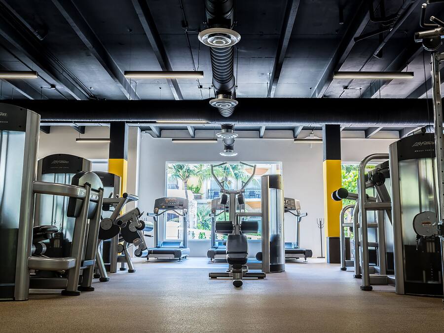 Ett gym med olika träningsmaskiner, ett tak med synliga bjälkar och utsikt över palmer utanför.