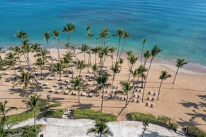 An aerial view of a beach with rows of palm trees and sun loungers.