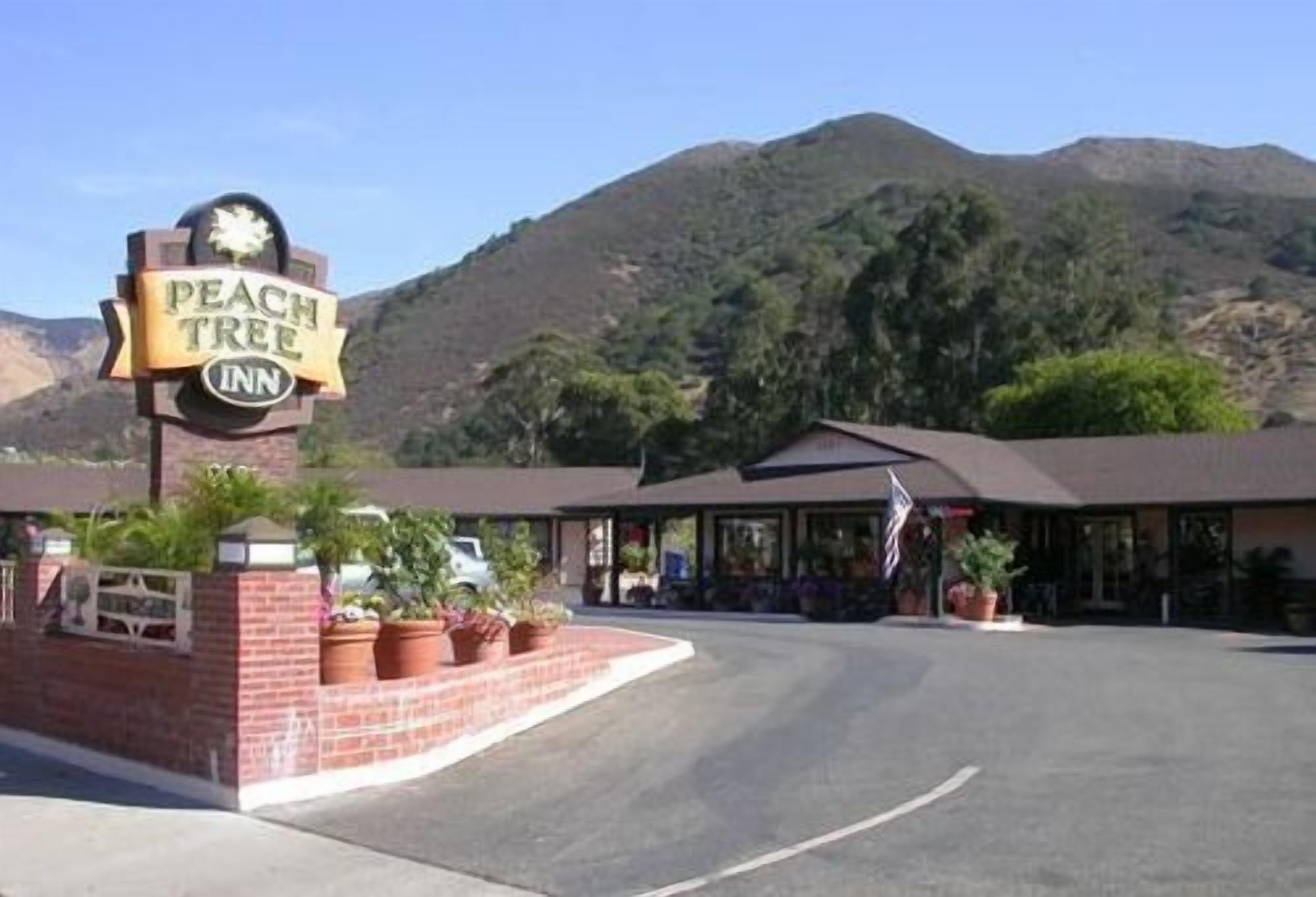 Peach Tree Inn