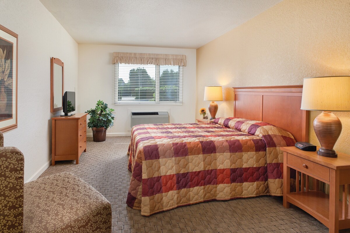 Iron/ironing board, WiFi (surcharge), bed sheets