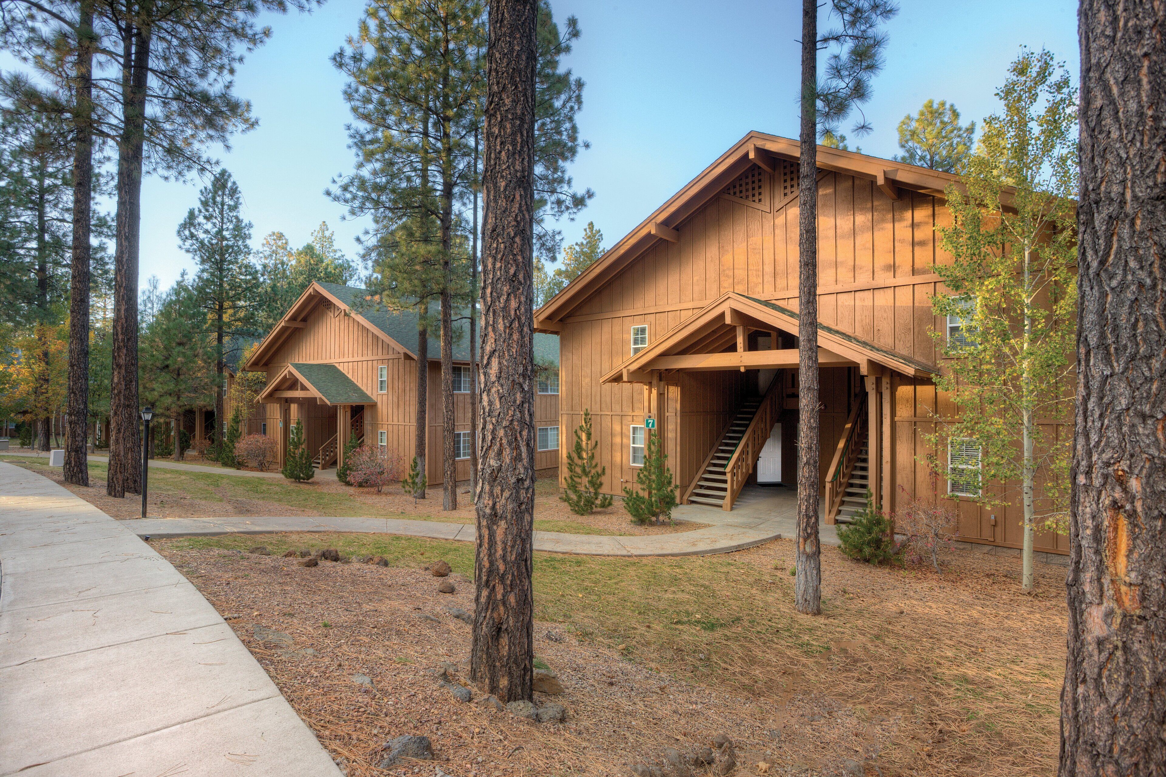 A wooden cabin-style building with a staircase leading to a covered porch, surrounded by tall pine trees.
