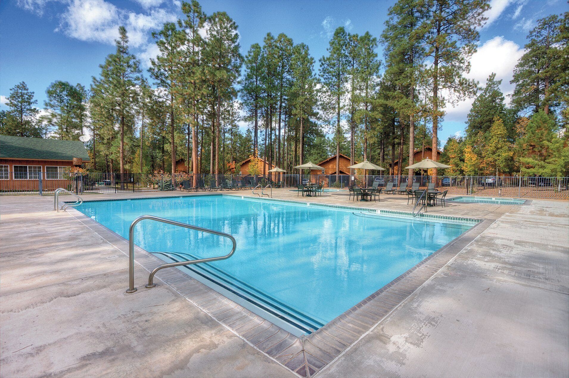 A rectangular swimming pool with a metal ladder on one side, surrounded by lounge chairs and umbrellas, with tall pine trees in the background.