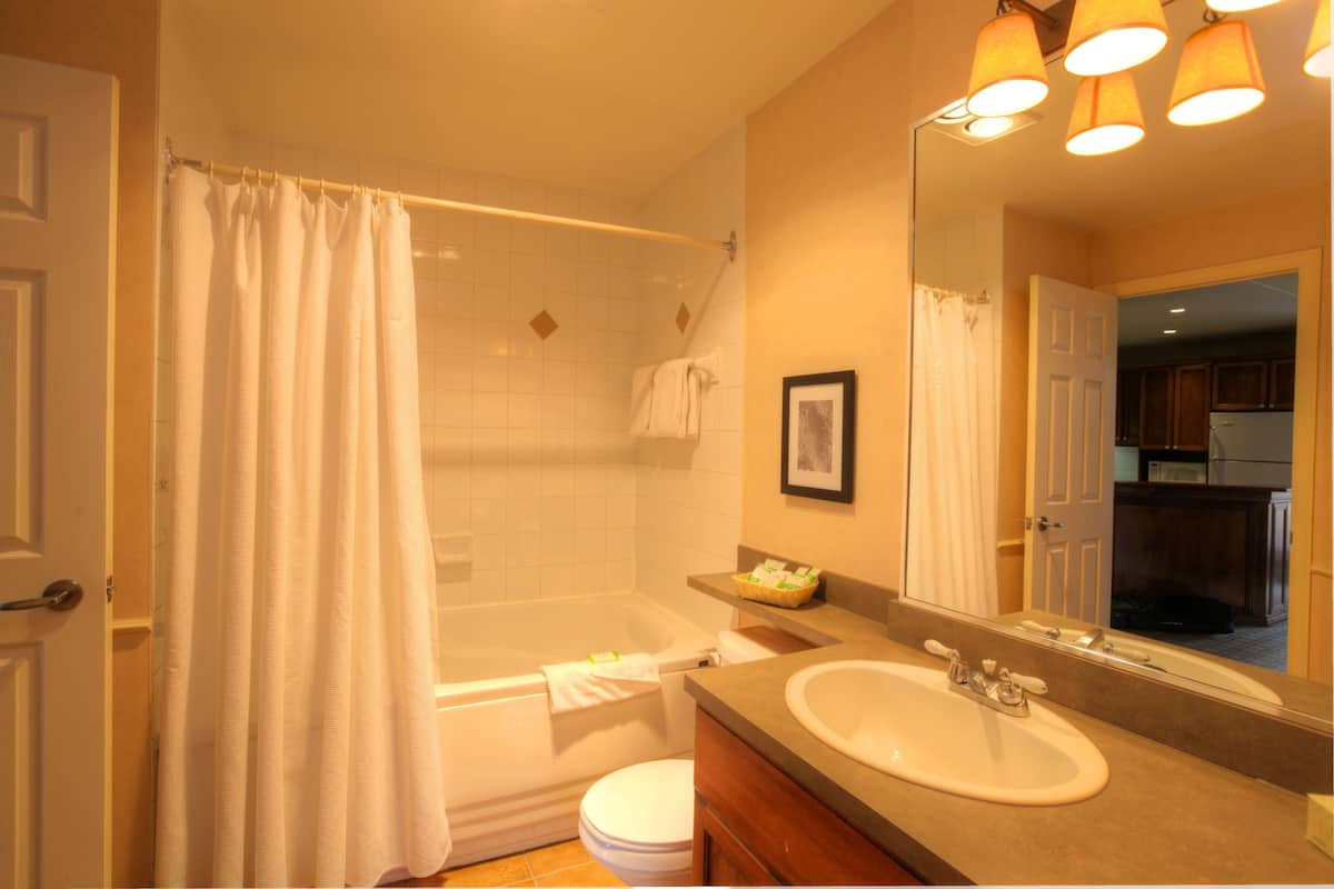 combined shower/bathtub, free toiletries, hair dryer, towels