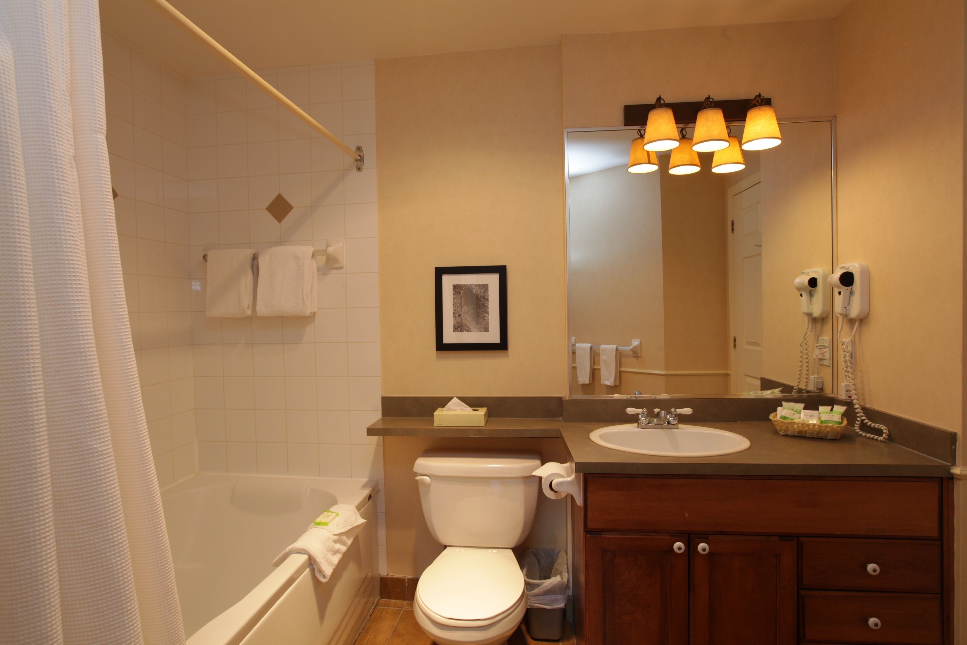 combined shower/bathtub, free toiletries, hair dryer, towels