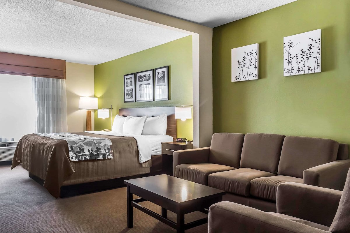 suite, 1 king bed with sofa bed, accessible, non smoking | desk, iron/ironing board, rollaway beds, free wifi