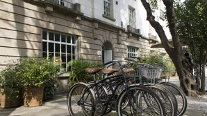 Uma fileira de bicicletas estacionadas em frente a um prédio com grandes janelas e uma árvore por perto.