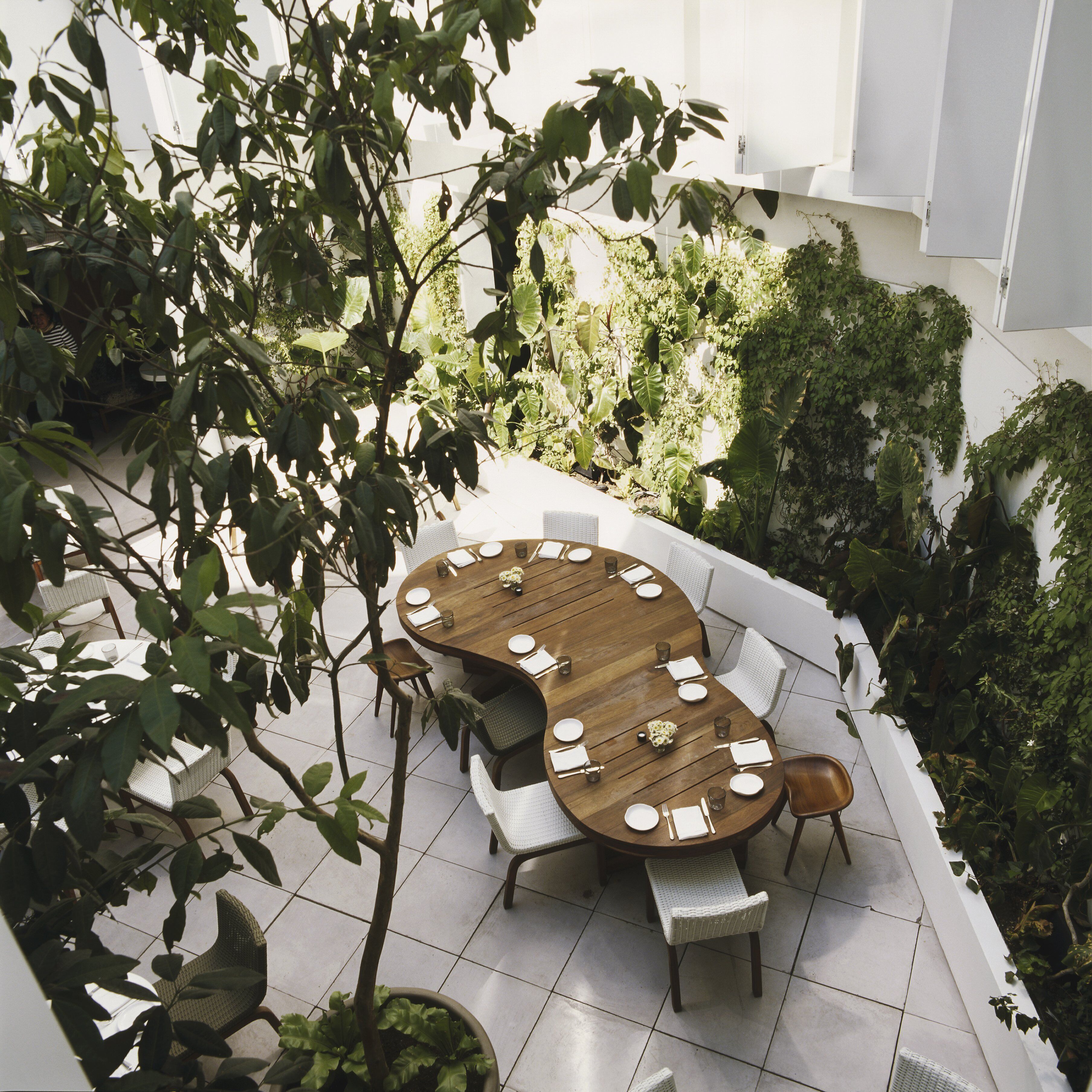 Photo - Condesa df, Mexico City, a Member of Design Hotels