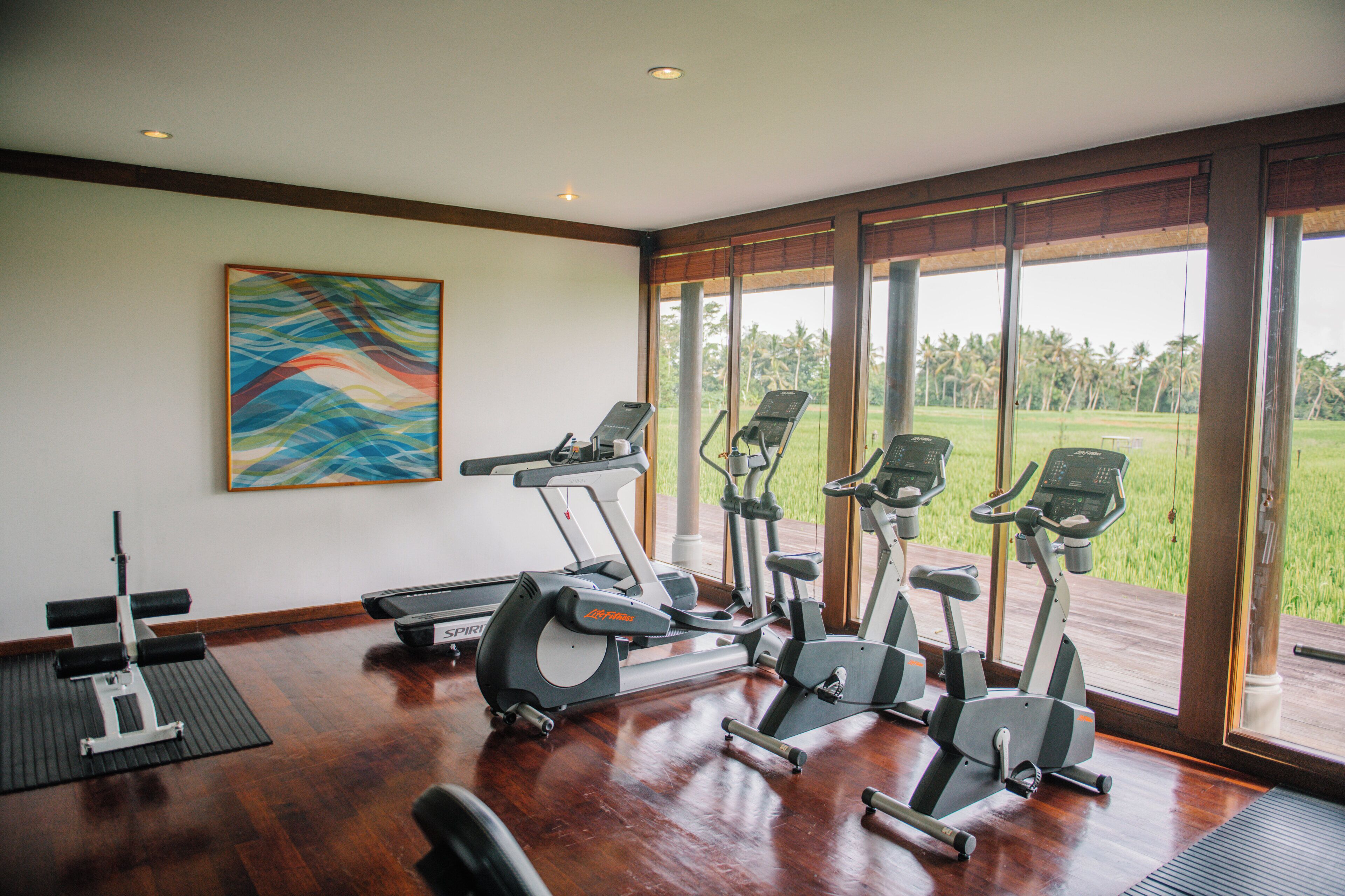 A gym with exercise equipment and a large window offering a view of a green landscape.
