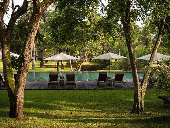 A poolside area with lounge chairs and umbrellas, surrounded by trees and a well-maintained lawn. - Tanah Gajah, a Resort by Hadiprana (Ubud)