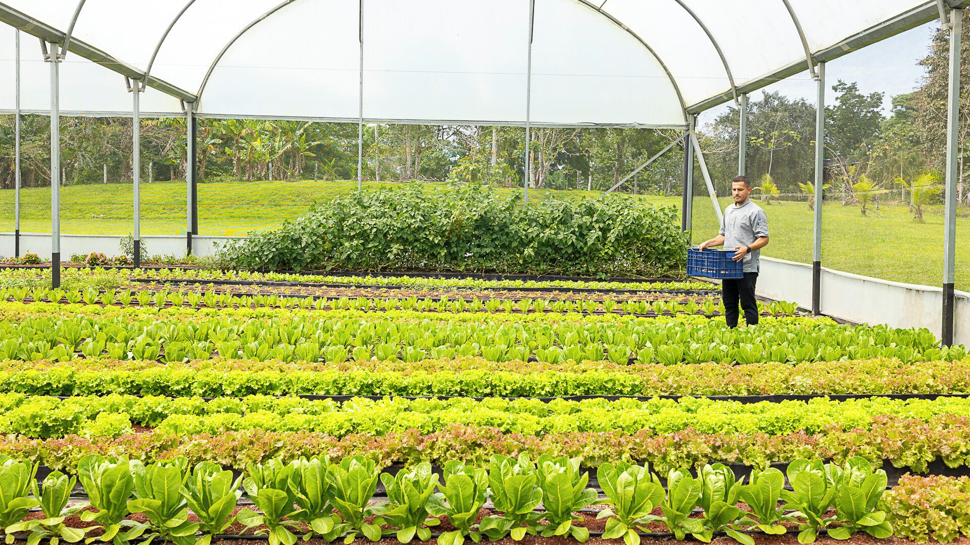 Photo - Tilajari Hotel Resort