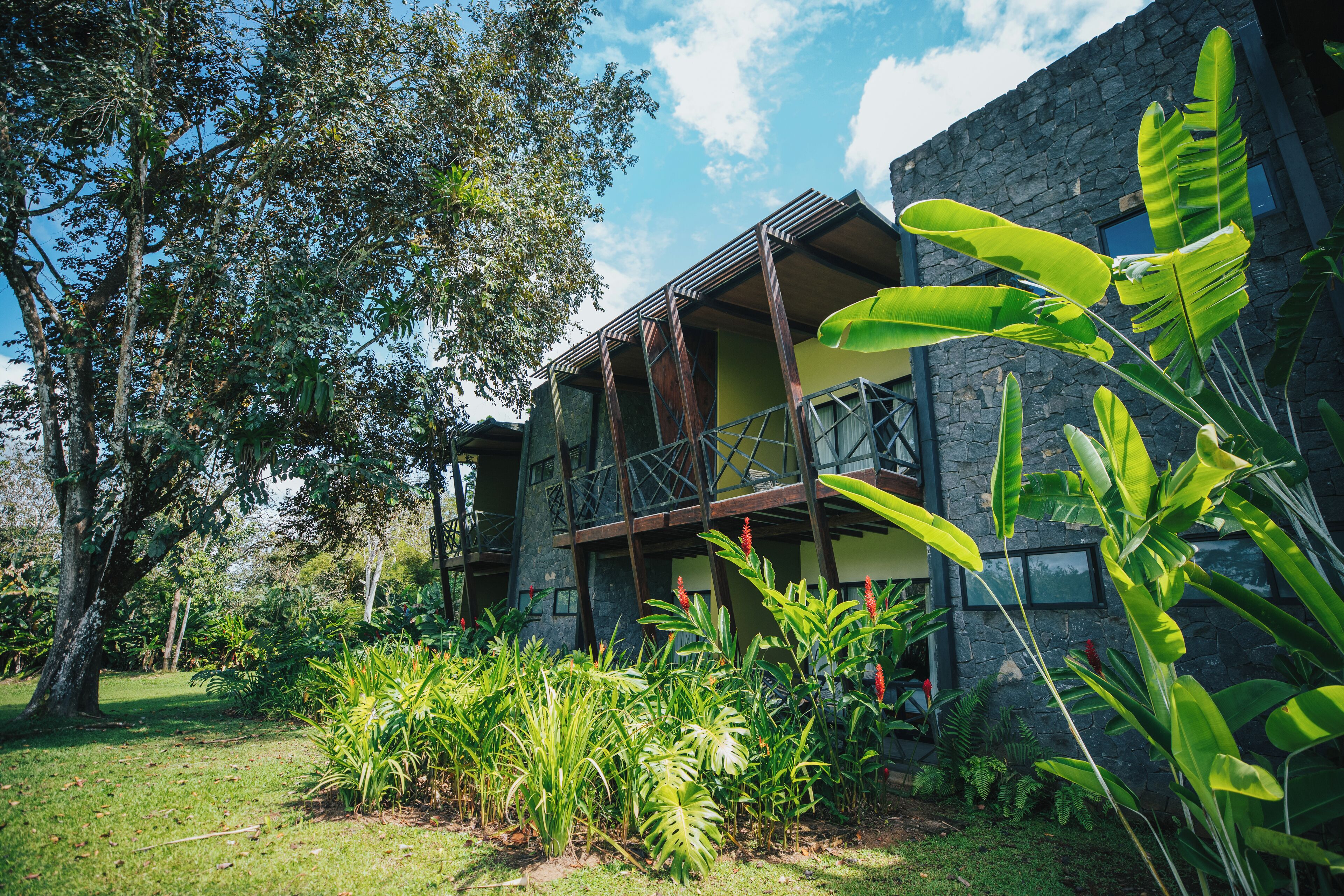 junior suite superior | 1 bedroom, premium bedding, in-room safe, desk