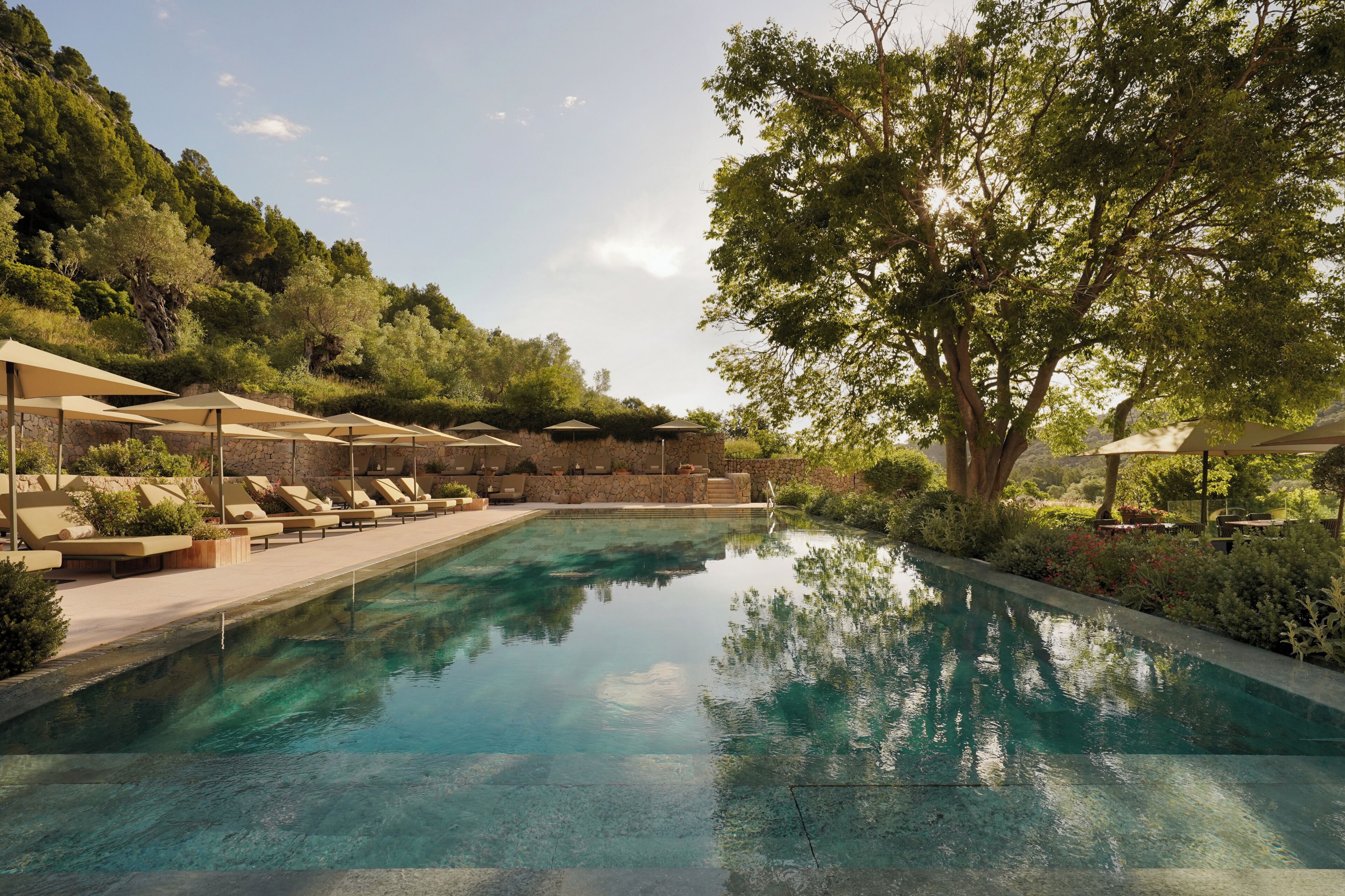 A pool with lounge chairs and umbrellas, surrounded by greenery and a stone wall.