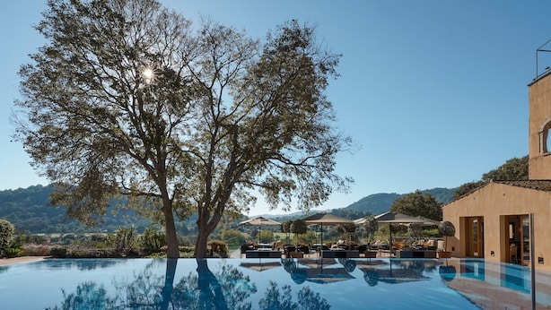 A clear view of a swimming pool with a wooden deck, surrounded by outdoor seating and umbrellas, with a large tree in the foreground and a mountainous landscape in the background. - Son Brull Hotel & Spa (Pollenca)