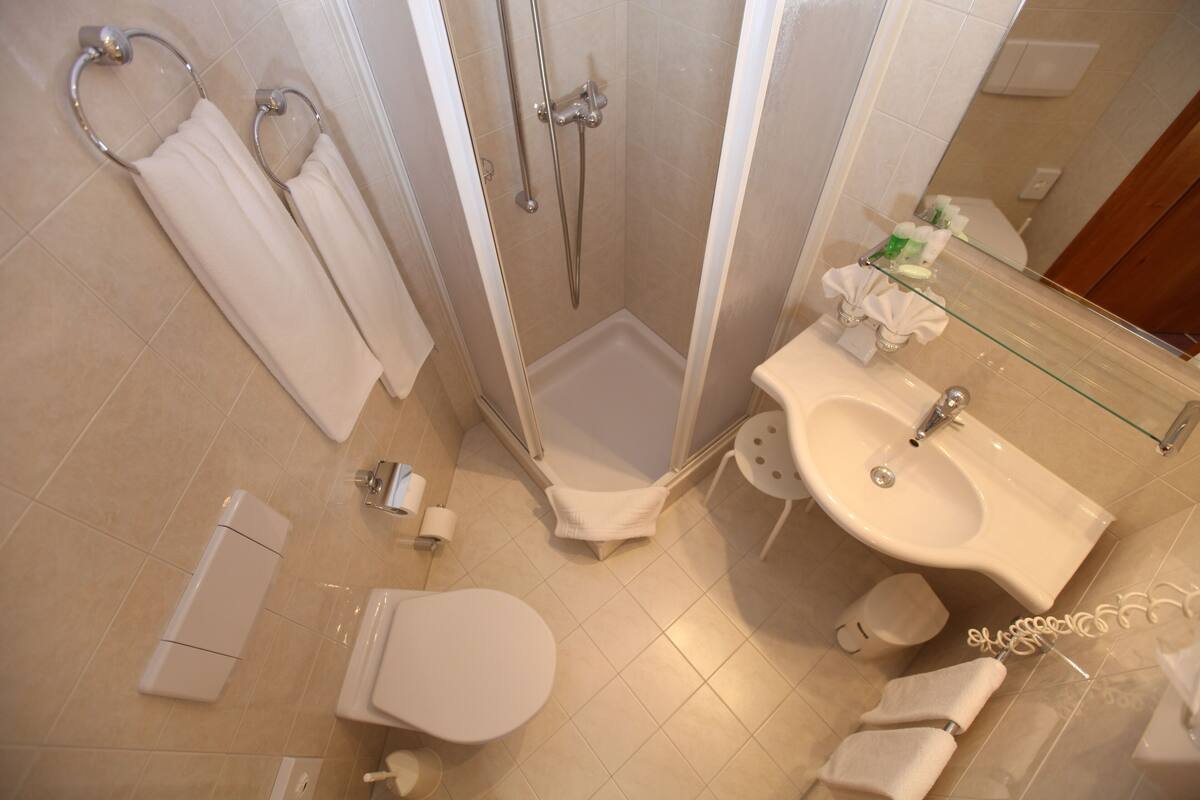 combined shower/bathtub, free toiletries, hair dryer, towels