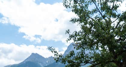 Typically Swiss Hotel Altana