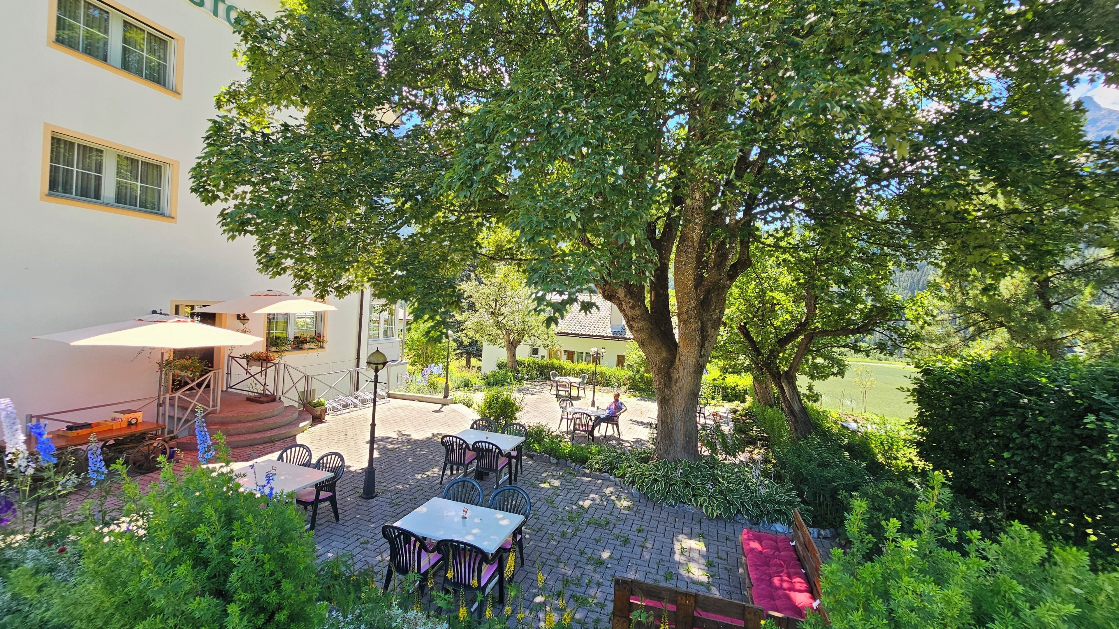 An outdoor patio with tables and chairs, surrounded by greenery and a large tree.