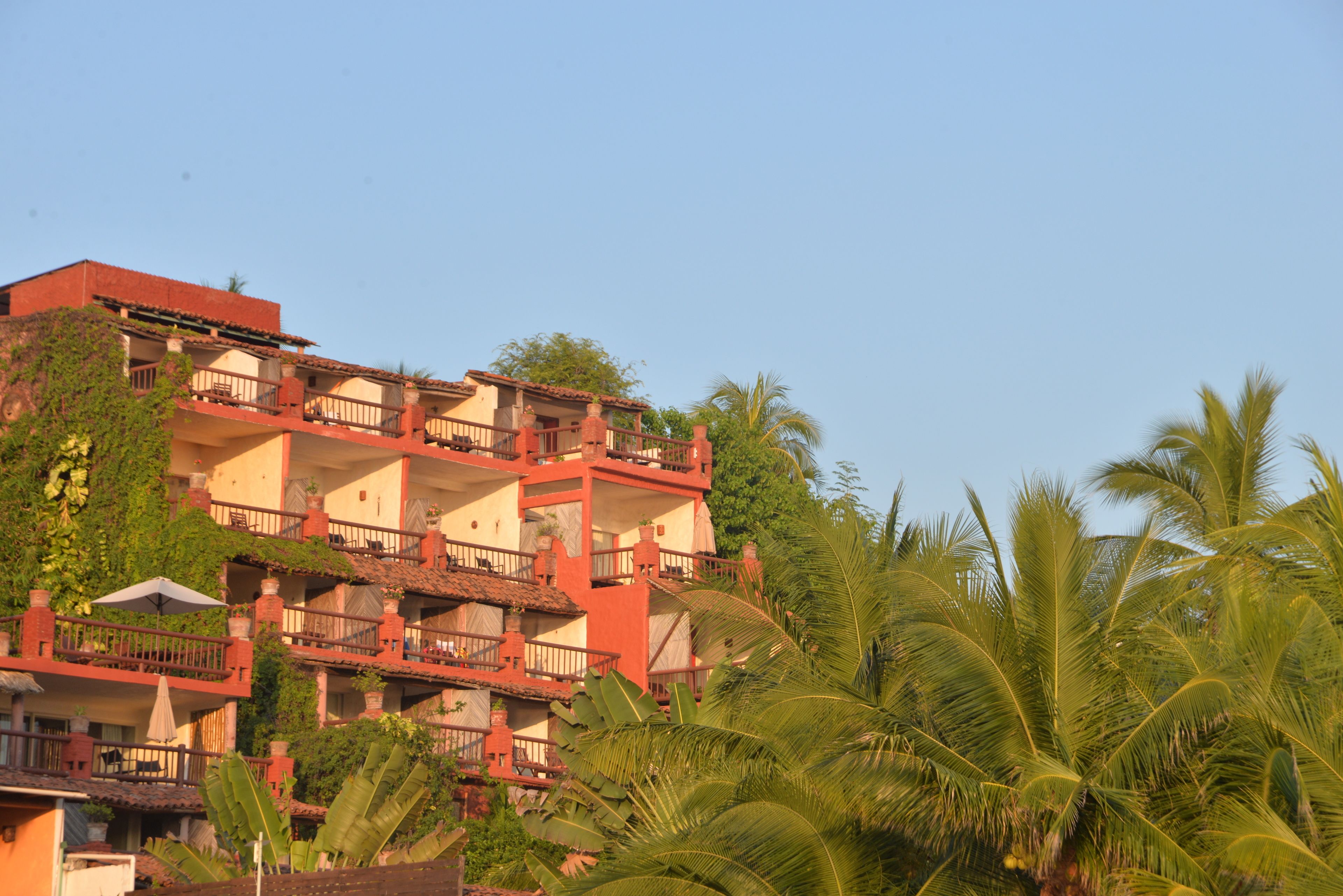 A multi-story building with balconies and a tropical garden.