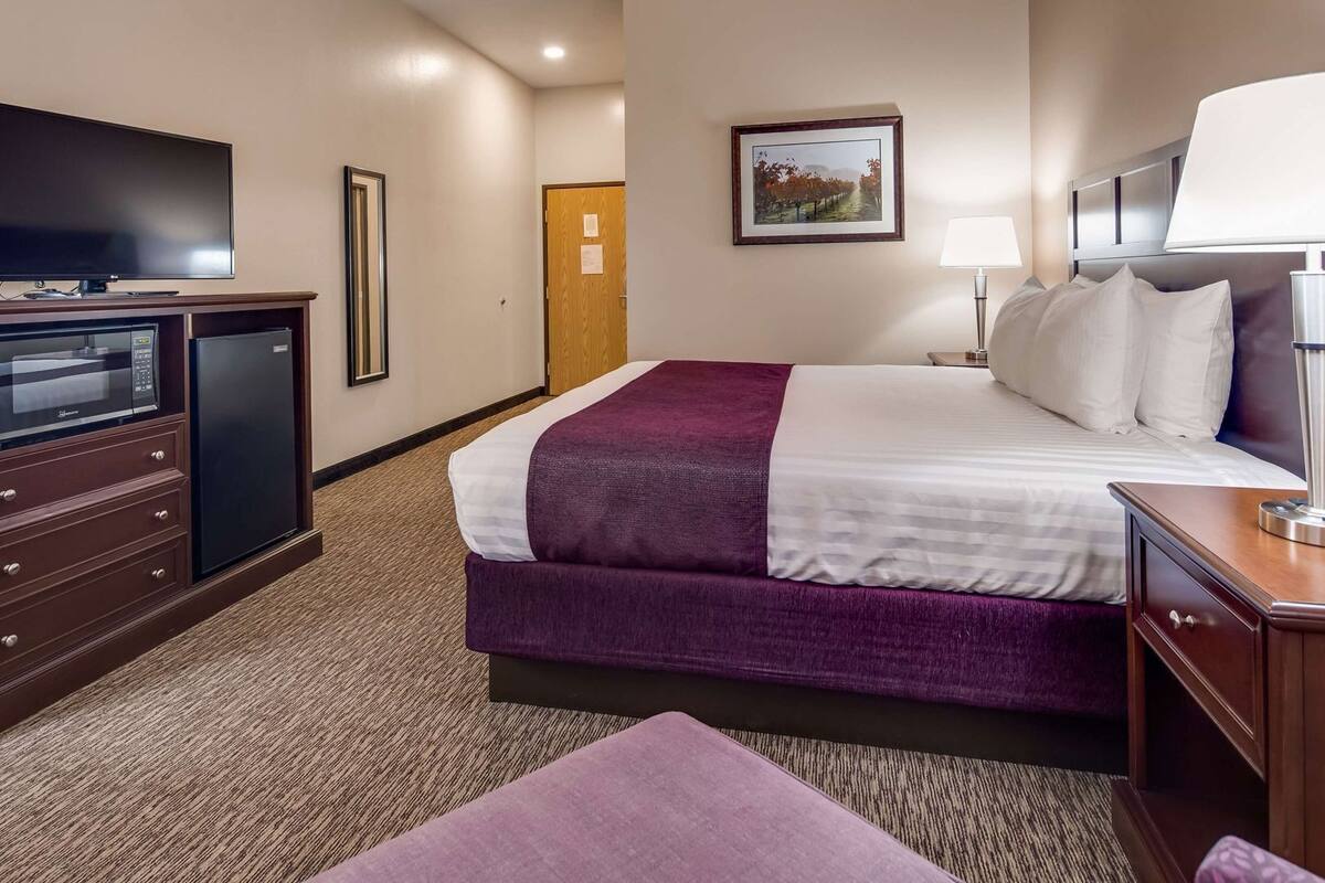 A hotel room with a bed, a TV, a refrigerator, a desk with a lamp, and a picture on the wall.