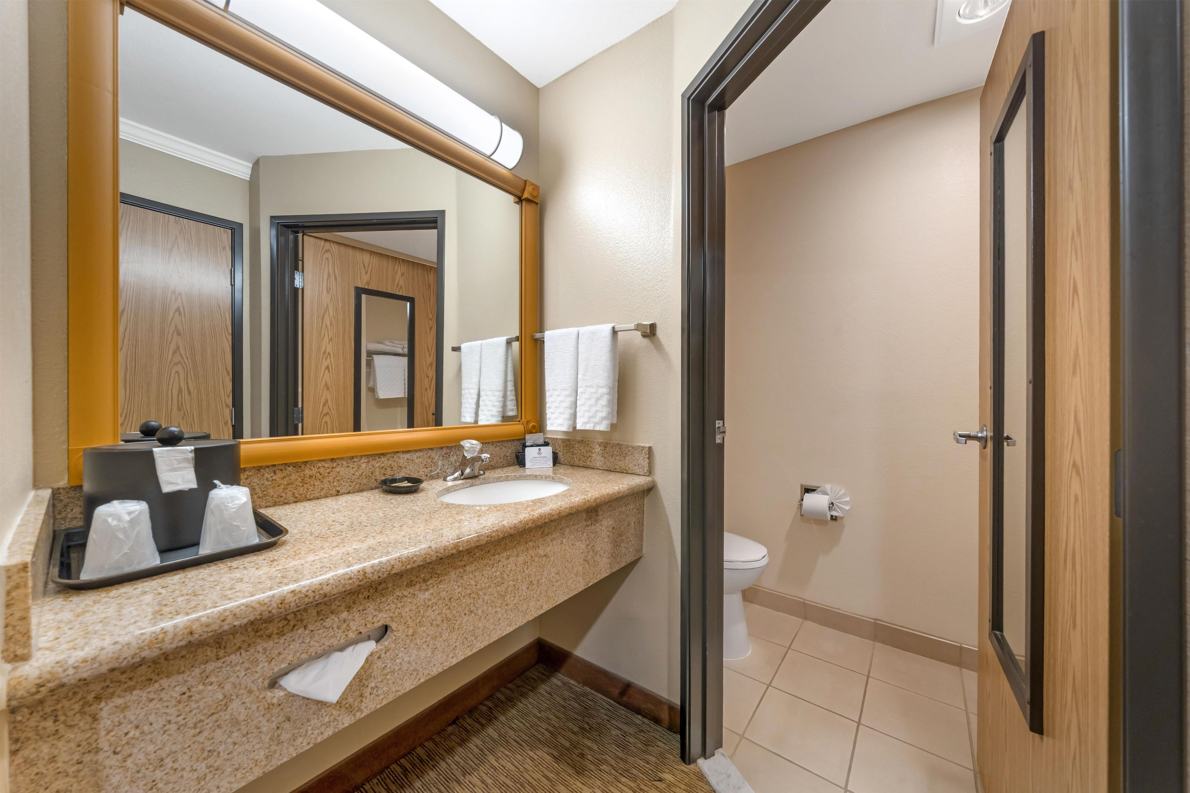 Un baño de hotel con encimera de granito, un lavabo, un espejo, un inodoro y una zona de ducha.