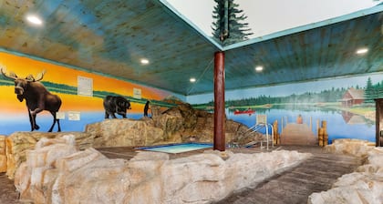 Stoney Creek Hotel Des Moines - Johnston