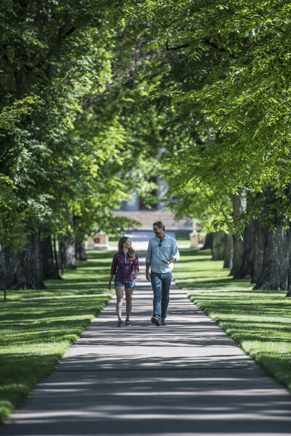 A pathway lined with trees, leading to a building.