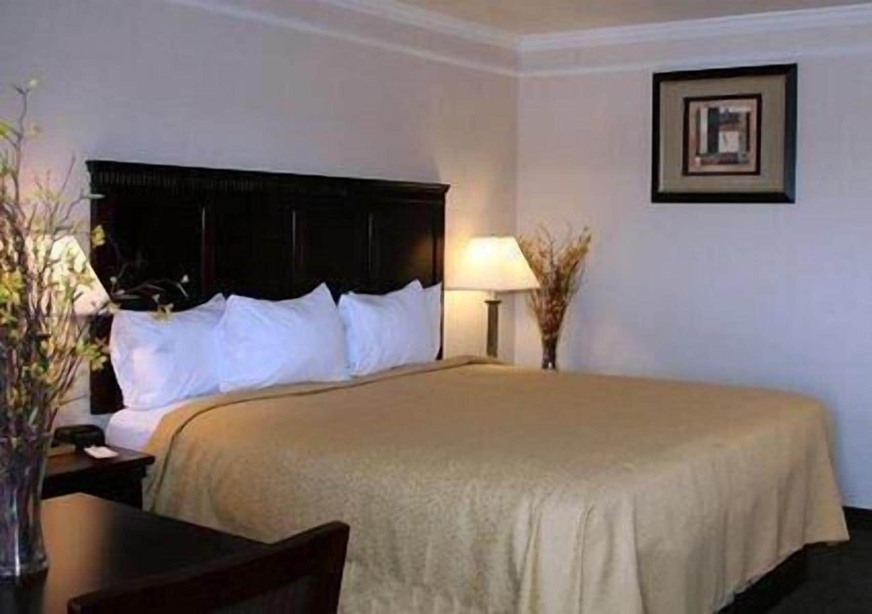 Lit de bébé (gratuit), accès au Wi-Fi (inclus), literie fournie