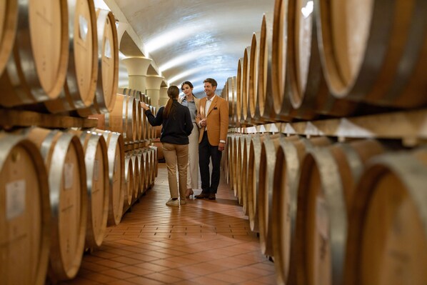 Una bodega con hileras de barriles de madera, suelo de baldosas y techo abovedado.