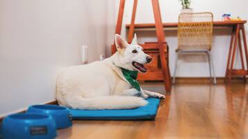 Comodidades para pets