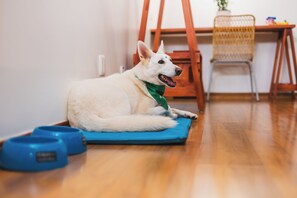 Pet-friendly amenities