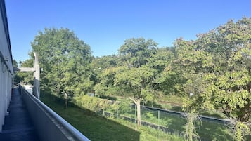 Vista desde la habitación