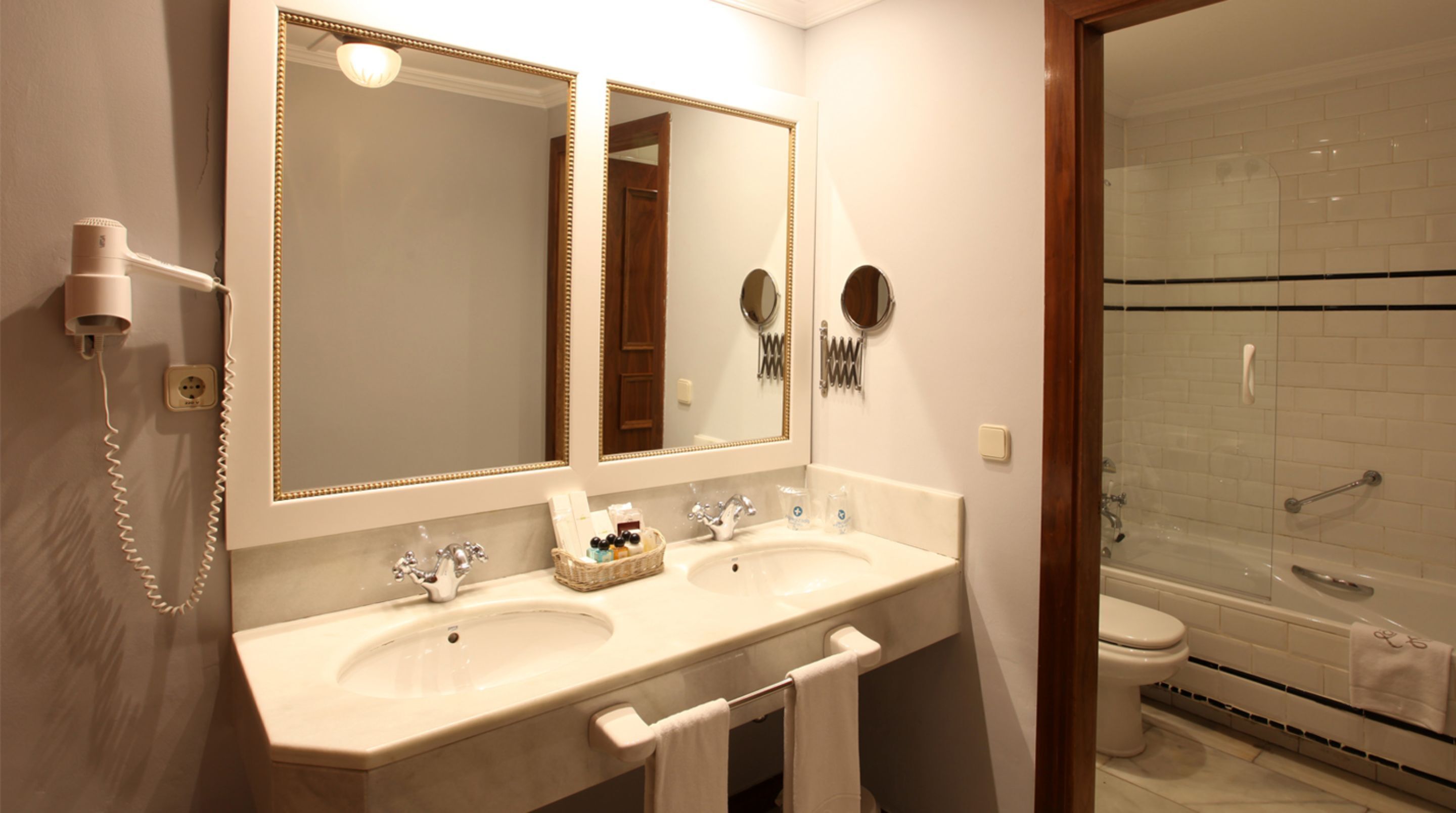 hair dryer, bidet, towels