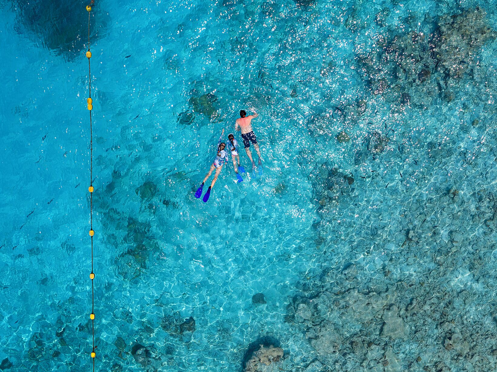 A person swimming in a clear blue pool with rocks at the bottom.