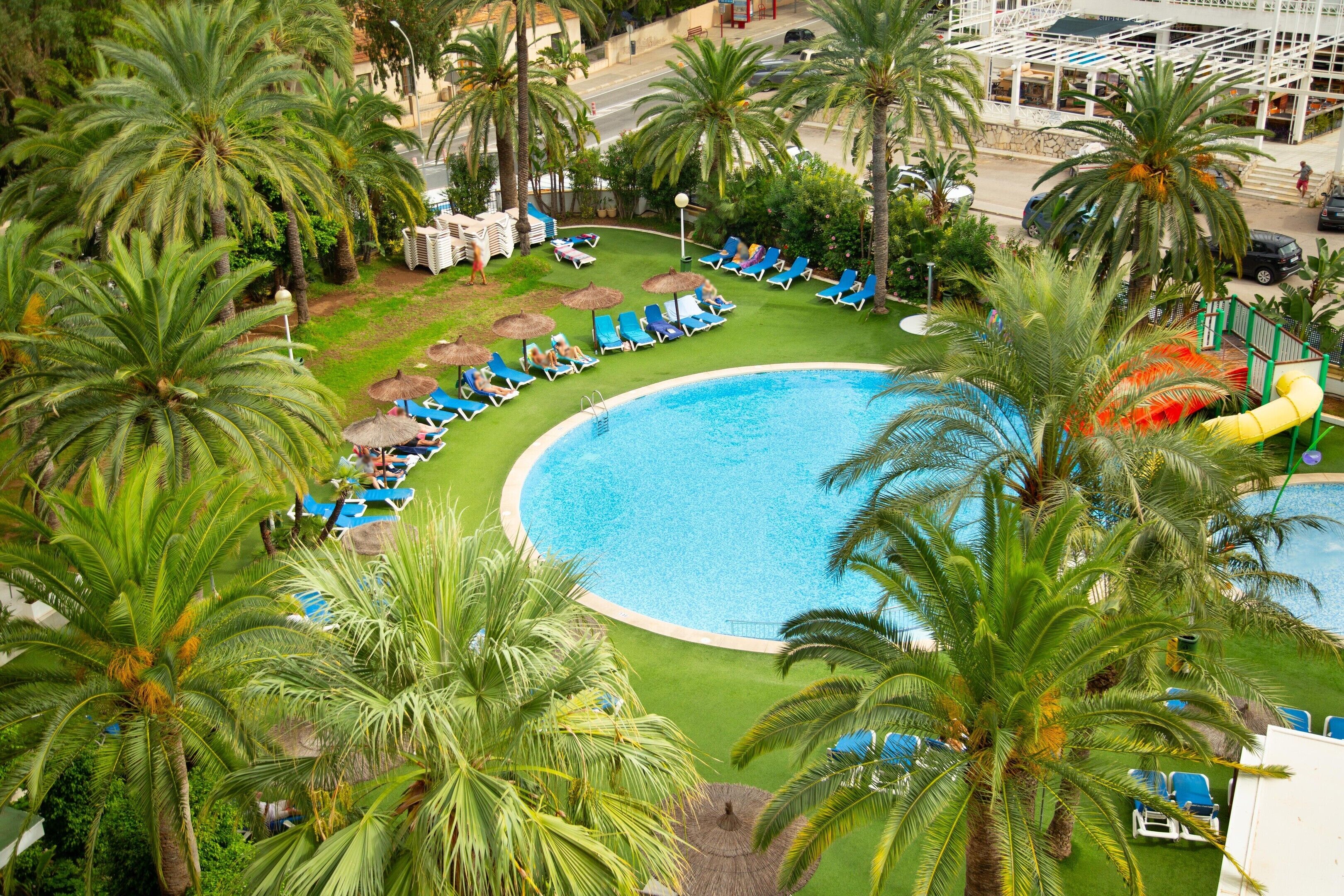 Una piscina circular grande rodeada de palmeras y sillones azules para tomar el sol.