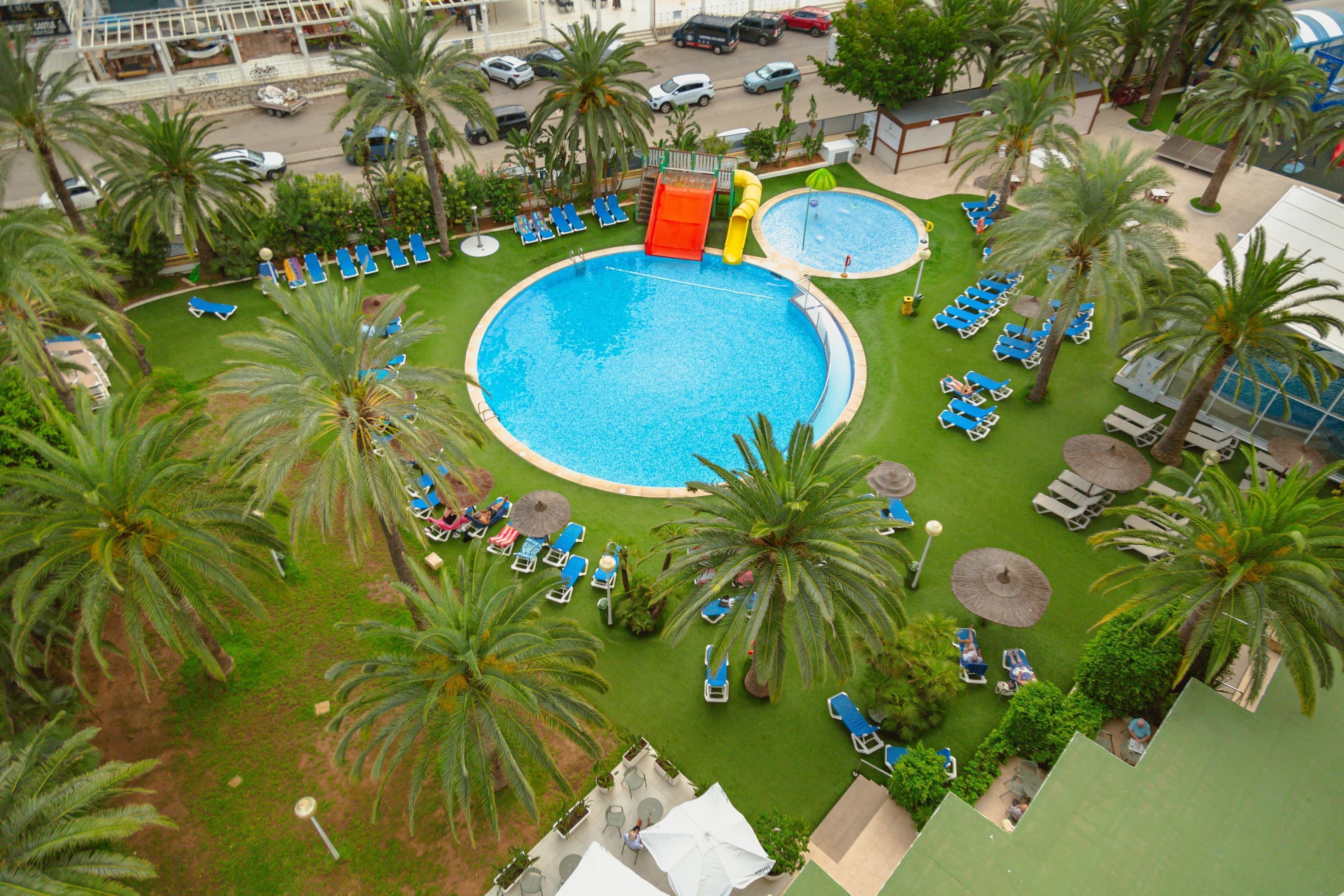 Una gran piscina al aire libre rodeada de palmeras y sillas de descanso.