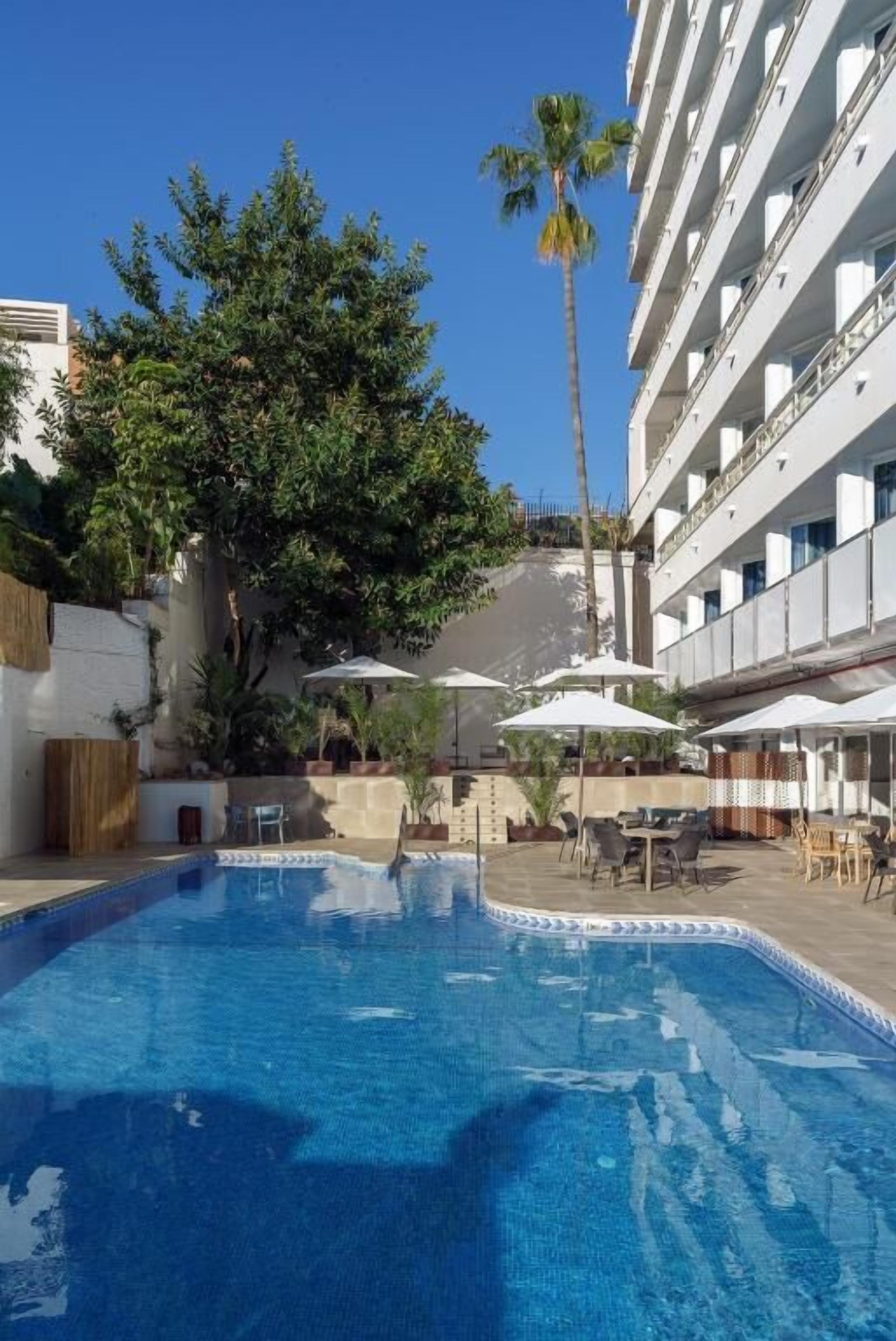 A swimming pool with lounge chairs and umbrellas, surrounded by a building with balconies and a palm tree.