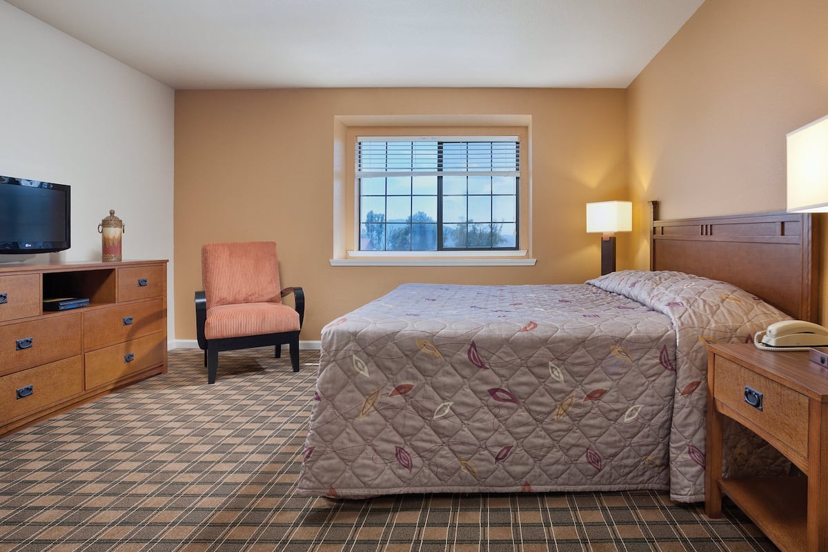 Habitación de hotel con cama, televisor, sillón, escritorio con lámpara y ventana.