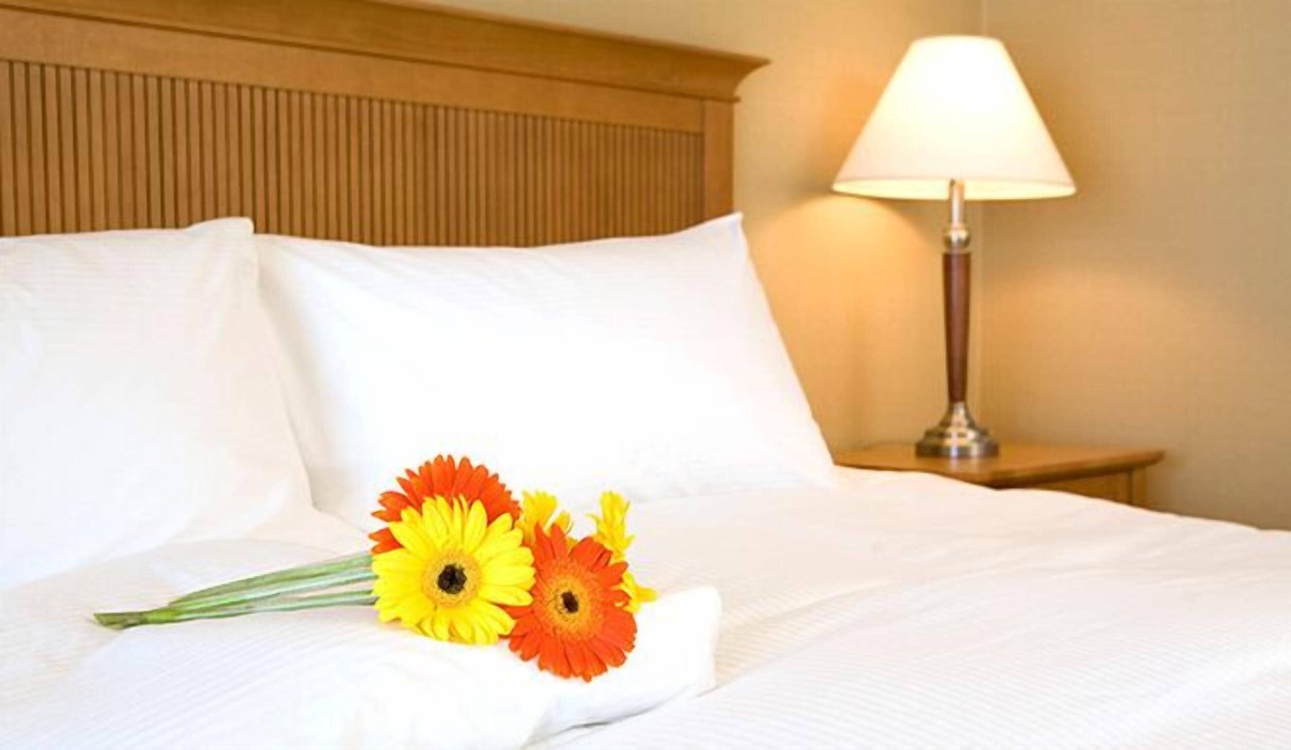 Escritorio, tabla de planchar con plancha, wifi y ropa de cama 