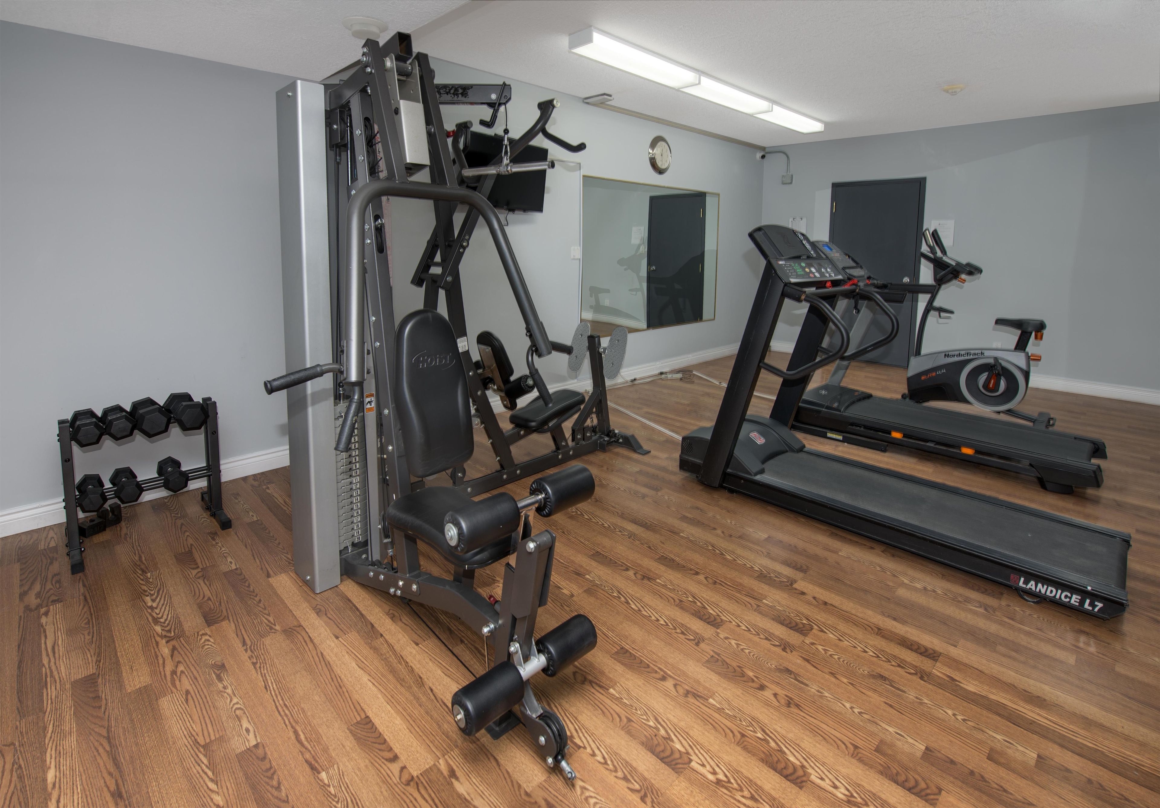 Un gimnasio en casa con una máquina de ejercicio multifuncional, una cinta de correr y un estante con mancuernas.